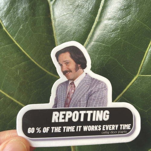 Cellar Door Plants 'Repotting' Sticker